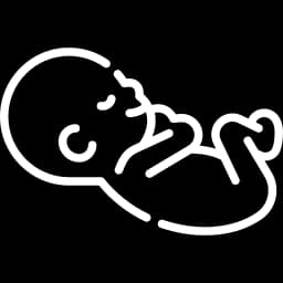 Deliveries / Birth